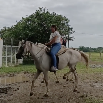 Cabalgata-Hacienda-La-Macarena4
