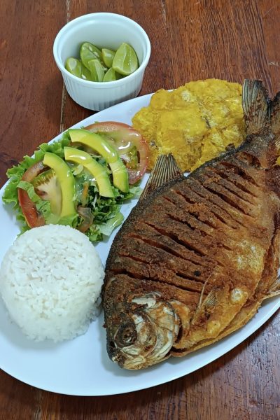 Restaurante campestre foto 1